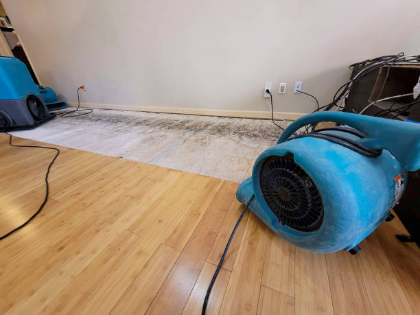 Professional Basement Flood Cleanup technician working in Columbia, SC